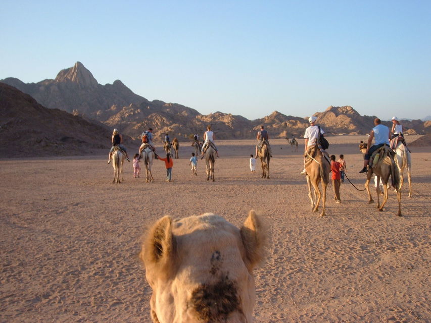 Mermaid Hurghada Jeep safari & Camel riding